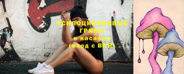apvp Абинск